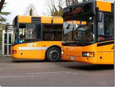 bus